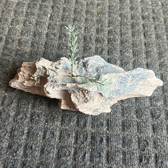 Terrarium Decor-Rock - Picture 2 of 3